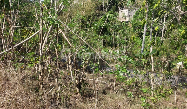 Ocean View Padang Padang Beach Labuansait Ocean View Padang Padang Beach Labuansait