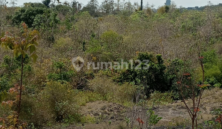 Dijual Tanah 50are-2hektar Splitable Pantai Balangan