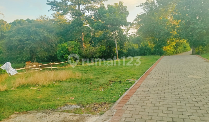 Disewakan Tanah Bingin 10-2,5hektar Jl.pantai Cemongkak Disewakan Tanah Bingin 10-2,5hektar Jl.pantai Cemongkak