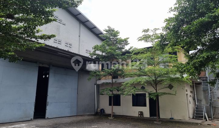 Disewakan Gudang Raya Driyorejo Gresik dengan lokasi strategis Disewakan Gudang Raya Driyorejo Gresik dengan lokasi strategis