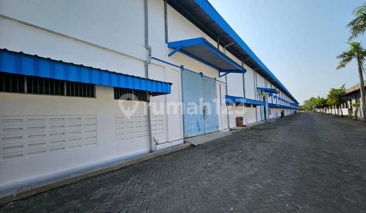 FOR RENT EX FISH POND RICE FIELD FACTORY WITH STRATEGIC LOCATION