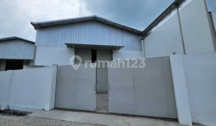 Disewakan 4 Unit Jejer Gress/Baru Gudang Bumi Maspion, Benowo Surabaya