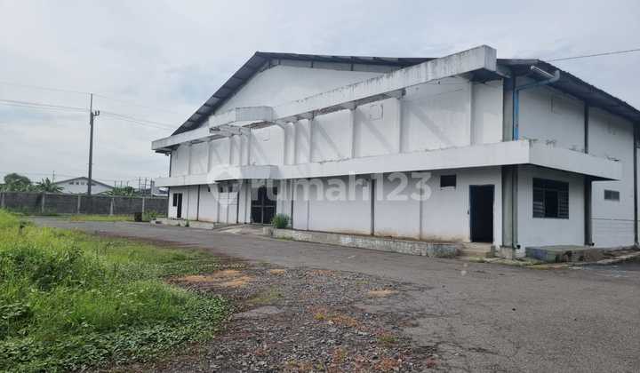 For Rent Ex Factory Warehouse Raya Cangkir Driyorejo Gresik For Rent Ex Factory Warehouse Raya Cangkir Driyorejo Gresik