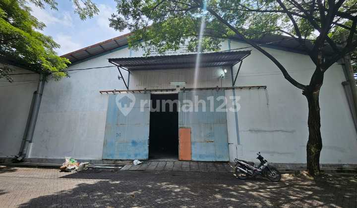 Disewakan Gudang Romokalisari Benowo Surabaya Bebas Banjir Disewakan Gudang Romokalisari Benowo Surabaya Bebas Banjir
