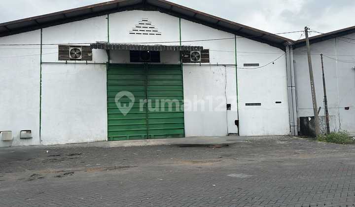 Disewakan Gudang Margomulyo Angtropolis Disewakan Gudang Margomulyo Angtropolis