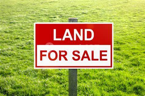 For Sale Citraland Plot
