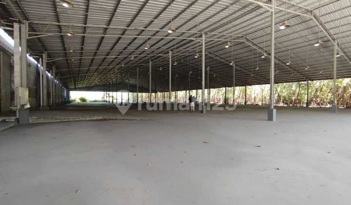 FOR RENT PADDY FIELD WAREHOUSE With Strategic Location