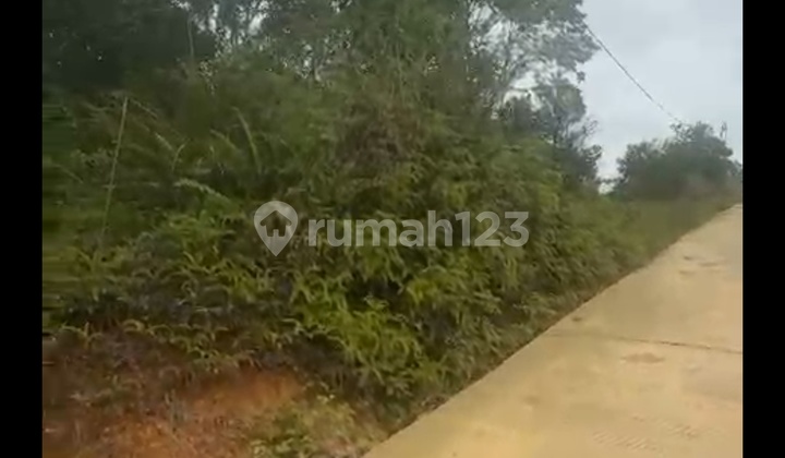 Lahan 1 Hektar Dekat Tol Km 10 Balikpapan, 350 Rb Permeter Nego Lahan 1 Hektar Dekat Tol Km 10 Balikpapan, 350 Rb Permeter Nego