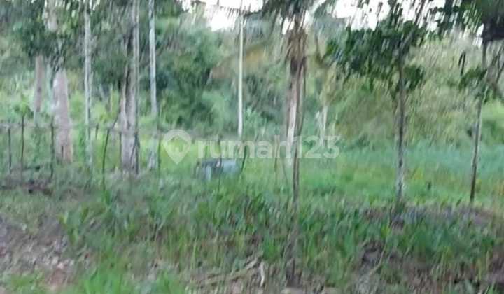 Tanah Strategis Siap Bangun Dekat Jalan Raya Di Km 12 Balikpapan 10