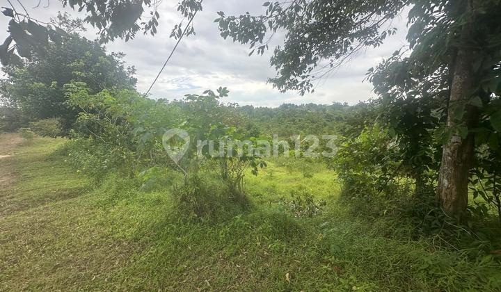 Lahan Pinggir Jalan Besar Km 9 - Sertifikat Ready, Harga Nego Lahan Pinggir Jalan Besar Km 9 - Sertifikat Ready, Harga Nego