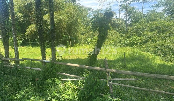 Lahan Pinggir Jalan Besar Km 9 - Sertifikat Ready, Harga Nego Lahan Pinggir Jalan Besar Km 9 - Sertifikat Ready, Harga Nego