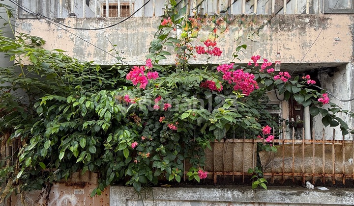 Rumah Tua 5x11 Cocok Bangun Kost Belakang Mall Cp Tanjung Duren Jakarta Barat