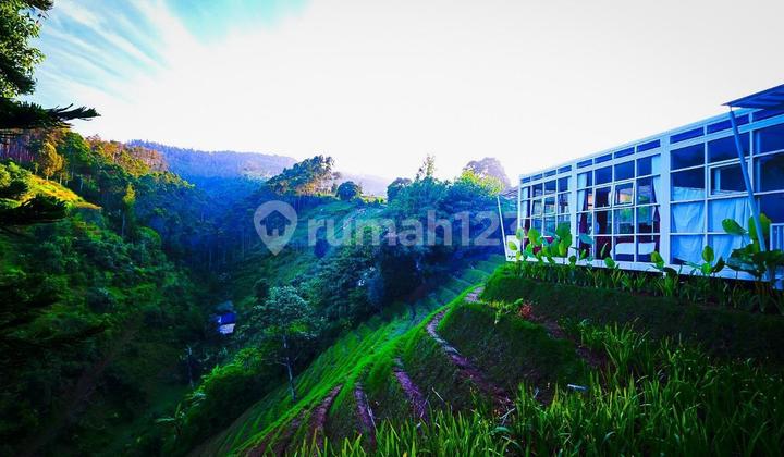 Lahan Premium 10 Hectar di Lembang Bandung Lahan Premium 10 Hectar di Lembang Bandung