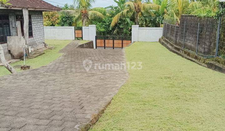 Investasi Dibali Yu! Rumah Tanah Luas Tabanan Bali 2