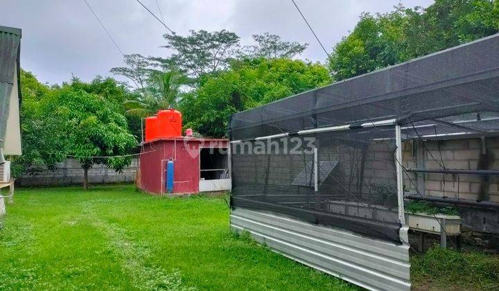 Cottage, Rumah Dan Rumah Makan Jl. I. J. Kasimo, Karimunjawa 7
