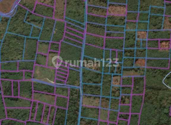 Tanah Industri di Desa Kenconorejo, Kec Tulis, Kab Batang 1
