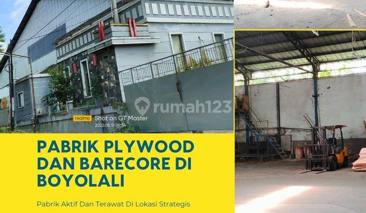 Dijual Pabrik Plywood Dan Barecore Di Boyolali 1