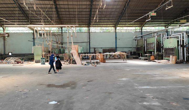 Dijual Pabrik Plywood Dan Barecore Di Boyolali 3