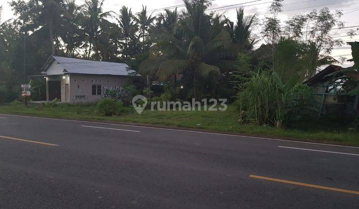 Dijual Tanah Luas, 3 Km Dari Bandara Yia, Kulonprogo, Yogyakarta 1