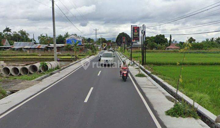 Tanah Murah Dan Luas Di Jalan Kabupaten Cocok Untuk Perumahan Mewah 1