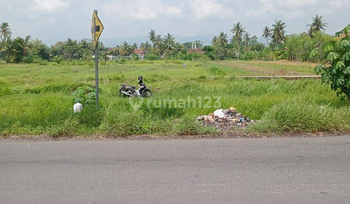 Dijual Tanah Pekarangan Luas Dan Termurah Di Moyudan, Sleman 1