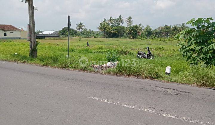 Dijual Tanah Pekarangan Luas Dan Termurah Di Moyudan, Sleman 2