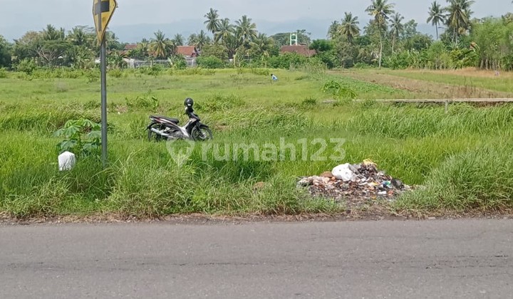 A 5309 Square Meter Plot of Land Near Muh. Moyudan Sleman Vocational School A 5309 Square Meter Plot of Land Near Muh. Moyudan Sleman Vocational School