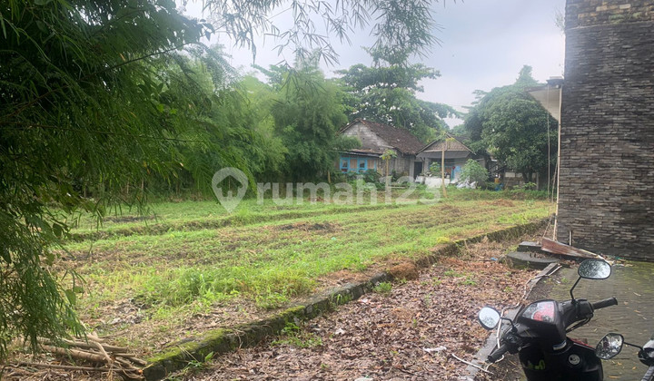 Tanah Seluas 1000 Meter Persegi Lokasi Strategis Di Jl Damai Ngaglik Sleman
