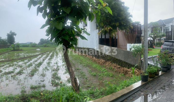 TANAH LUAS SAWAH LOKASI STRATEGIS
