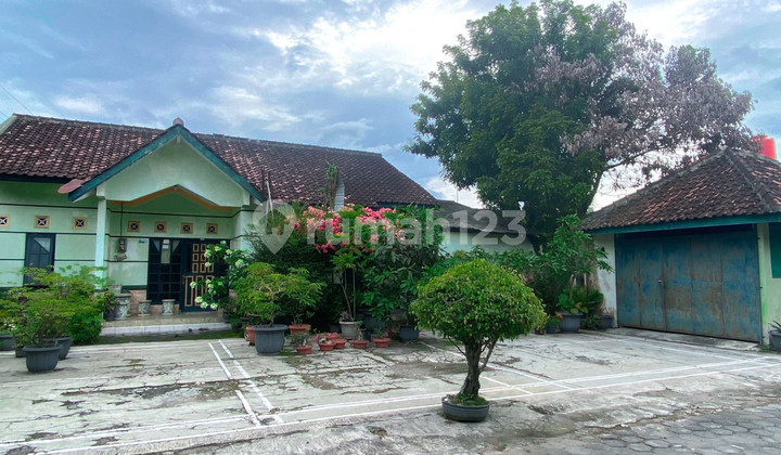 Rumah 3 Kamar Halaman Luas Di Jl Jambu Gamping Sleman