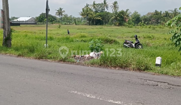 A 5309 Square Meter Plot of Land Near Muh. Moyudan Sleman Vocational School A 5309 Square Meter Plot of Land Near Muh. Moyudan Sleman Vocational School