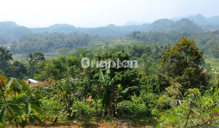 TANAH LAHAN LUAS 4.800M PINGGIR JALAN DEKAT LEUWILIANG BOGOR 2