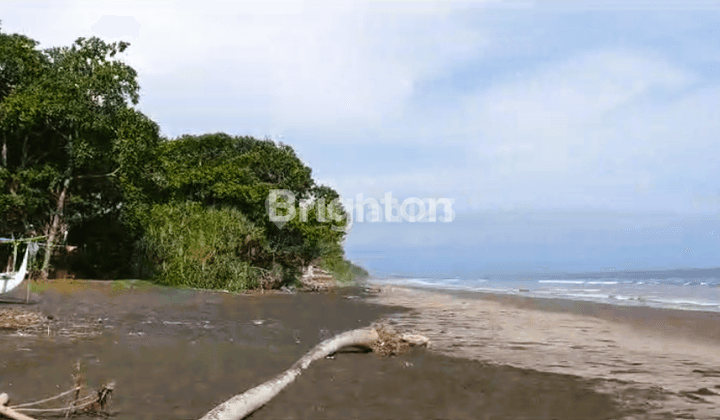 3000 MTR LAND PREMIUM BEACH LAND JEMBRANA BALI 1