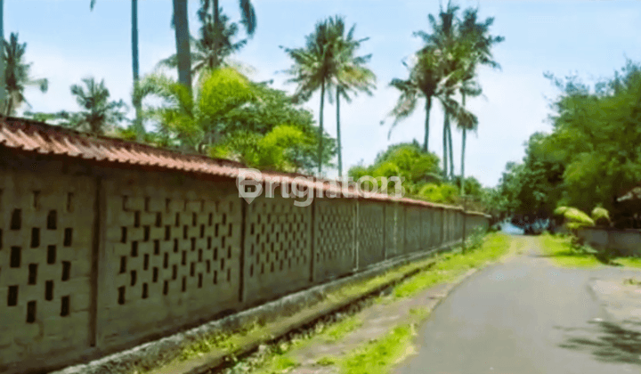 3000 MTR LAND PREMIUM BEACH LAND JEMBRANA BALI 2