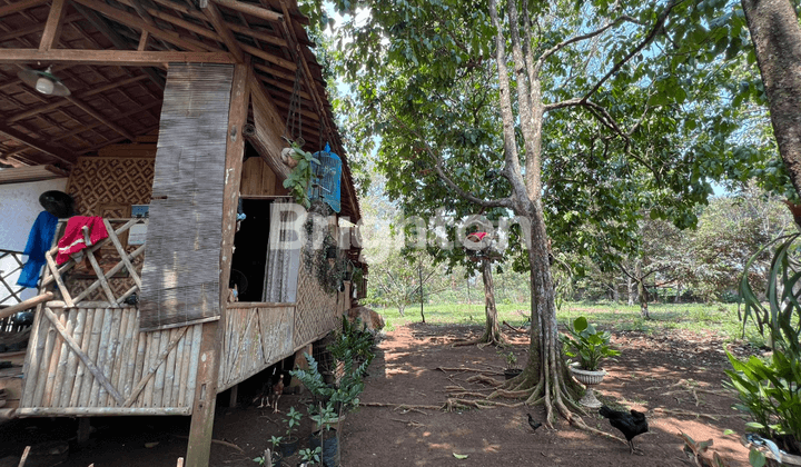 TANAH LAHAN ADA KEBUN DURIAN CIBEUTEUNG UDIK CISEENG 2