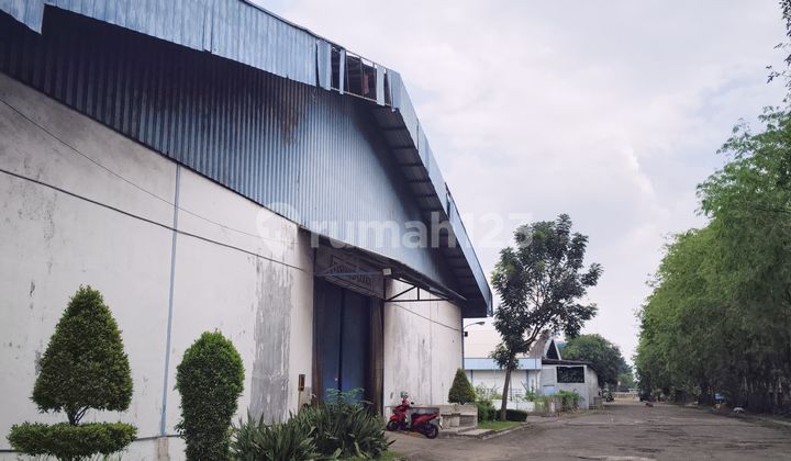 Warehouse for Rent in Jatake, Flood-Free Warehouse for Rent in Jatake, Flood-Free