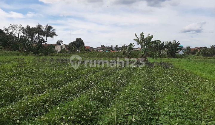 Tanah Kavling Rp.60 Jtan Dijual SHM Cluster Ciampea Bogor 2