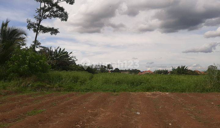 Tanah Kavling Rp.60 Jtan Dijual SHM Cluster Ciampea Bogor 4
