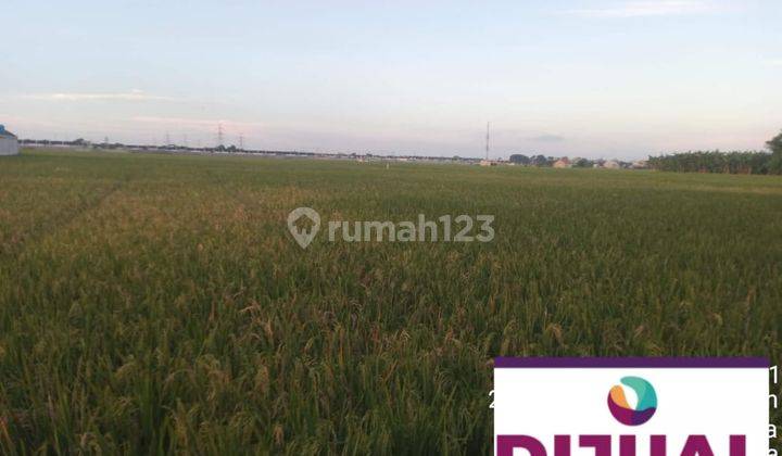 Dijual Lahan Sawah Luas 11 Hektar di Tambun Utara 2