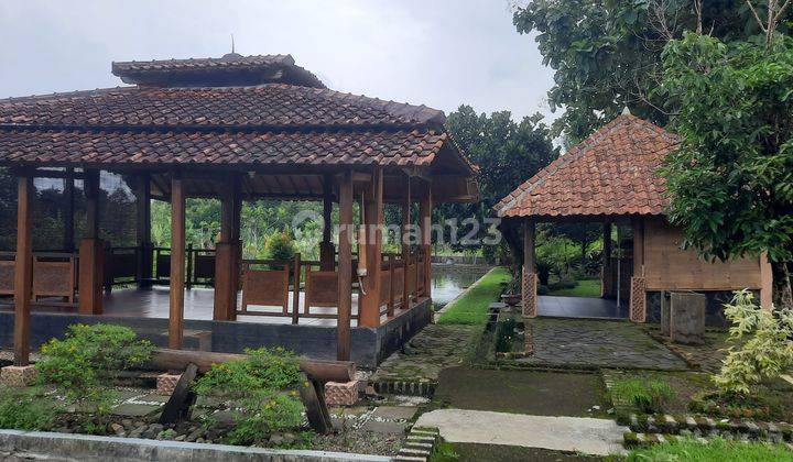Dijual Cepat Rumah Lahan Luas Cocok Untuk Usaha Lokasi Bogor 4