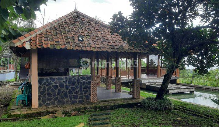 Dijual Cepat Rumah Lahan Luas Cocok Untuk Usaha Lokasi Bogor 8