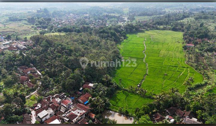 Dijual Tanah 20 Hektar di Cibinong 2