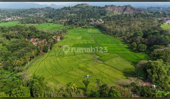 Dijual Tanah 20 Hektar di Cibinong 1