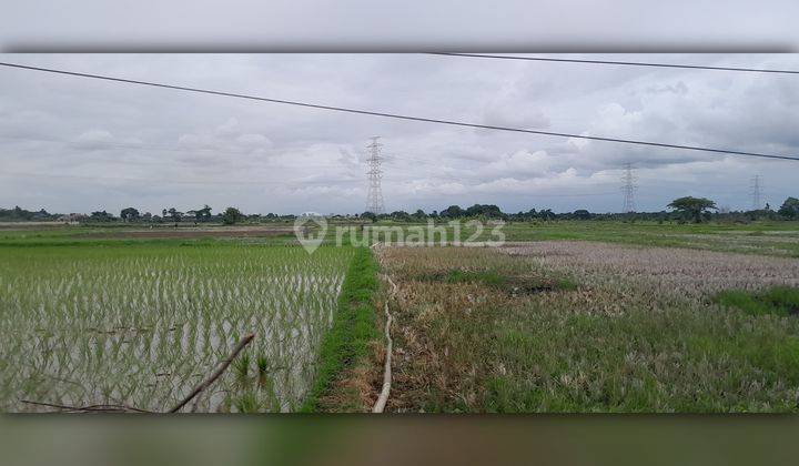 Dijual Lahan Luas 12 Hektar di Serang Banten 2