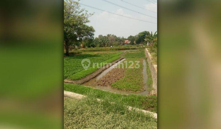 Dijual Tanah Kosong Luas 3800 M2 Dekat Perum Magnolia Cikarang 1