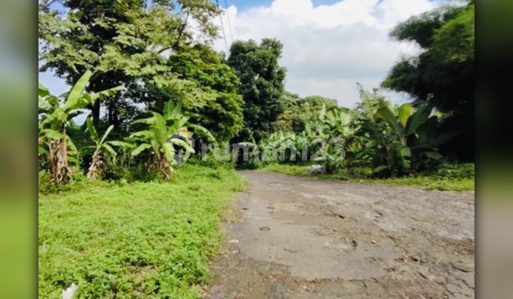 Dijual Lahan di Parung Panjang, Bogor