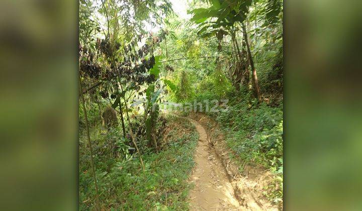 Dijual Lahan Kering Luas 43 Hektar di Jonggol Bogor 2