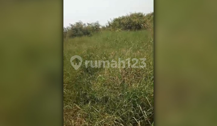 Land for Sale in Sukadaya Village, Bekasi Regency Land for Sale in Sukadaya Village, Bekasi Regency