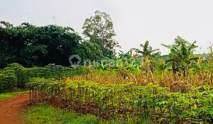 Dijual Tanah Matang Siap Bangun 3800 m2 di Ciketing Udik Bantar Gebang Dijual Tanah Matang Siap Bangun 3800 m2 di Ciketing Udik Bantar Gebang