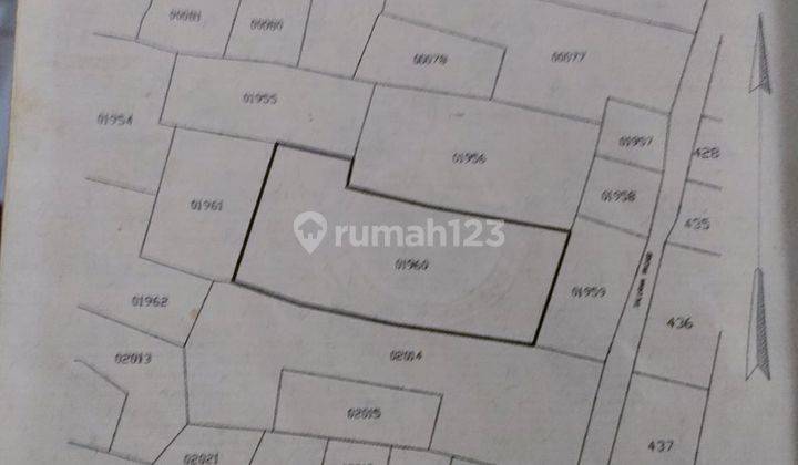 Dijual Tanah Luas di Desa Suka Asih Cikarang Kab, Bekasi 2